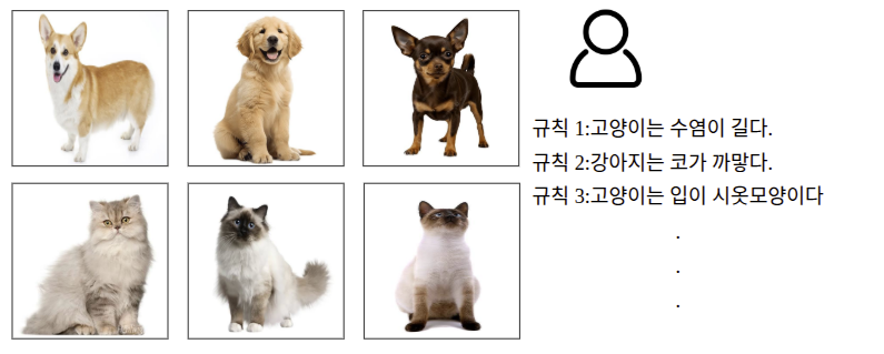 강아지와 고양이 사진 옆에 사람이 작성한 구별 규칙을 나열한 예시