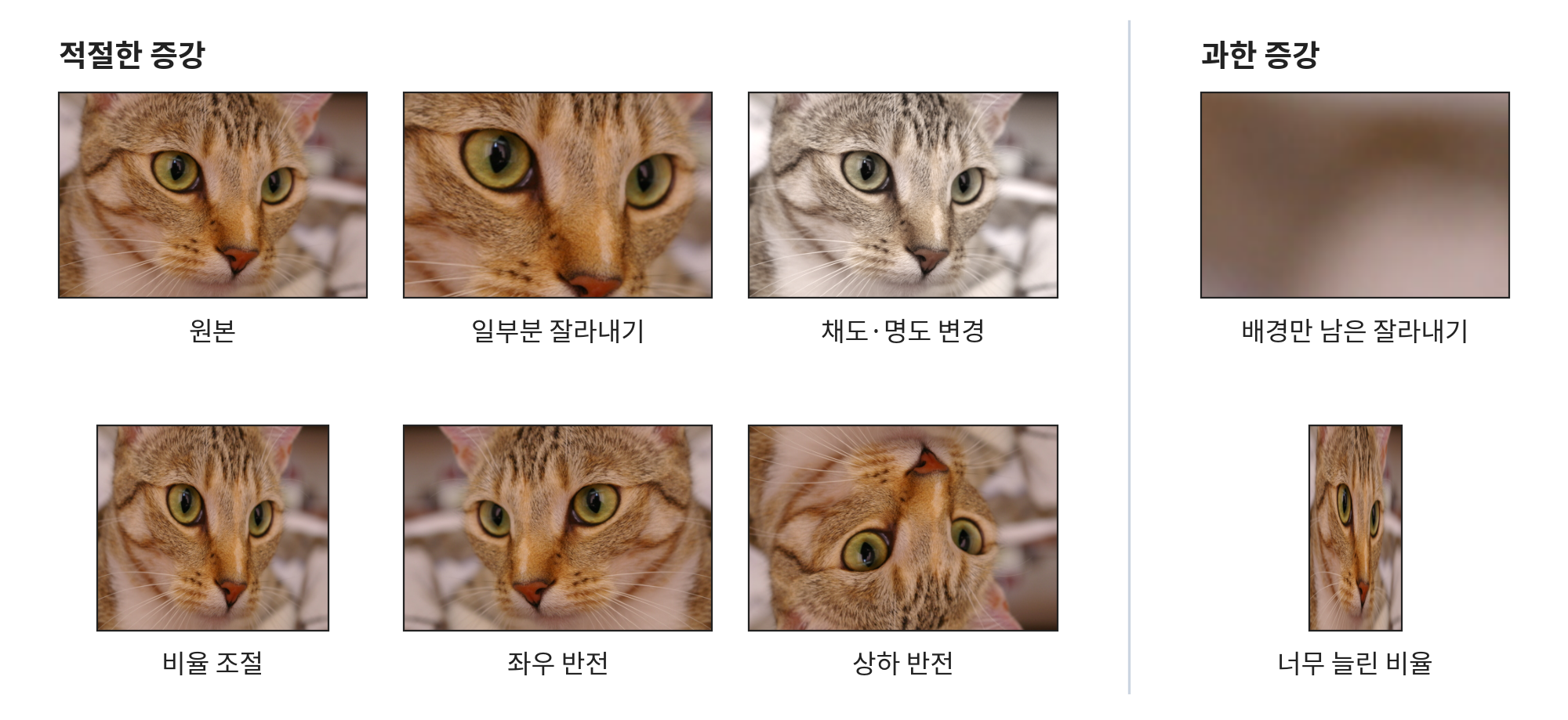 고양이 사진 한 장으로 만든 데이터 증강 예시. 왼쪽 적절한 증강에는 원본, 눈과 코 부분만 잘라 확대한 사진, 채도를 낮추고 밝게 한 사진, 가로를 조금 줄인 사진, 좌우 반전, 상하 반전이 있고 모두 고양이로 알아볼 수 있다. 오른쪽 과한 증강에는 배경 귀퉁이만 잘라내 고양이가 사라진 흐린 갈색 사진과, 가로를 너무 줄여 가늘고 길쭉해진 고양이 사진이 있다